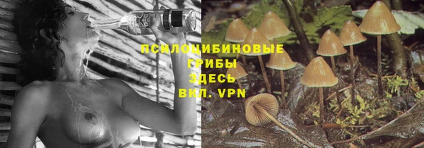 меф Нягань