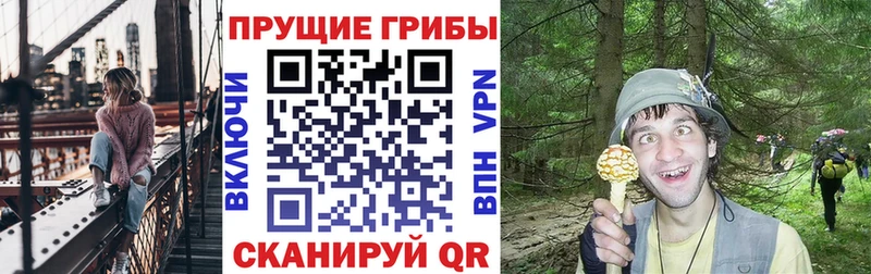 Псилоцибиновые грибы MAGIC MUSHROOMS  сайты даркнета официальный сайт  Рославль 
